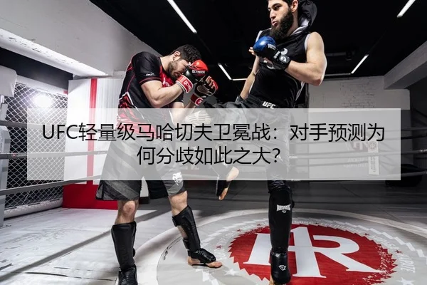 UFC轻量级马哈切夫卫冕战：对手预测为何分歧如此之大？
