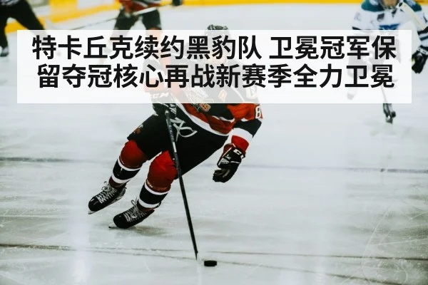 特卡丘克续约黑豹队 卫冕冠军保留夺冠核心再战新赛季全力卫冕