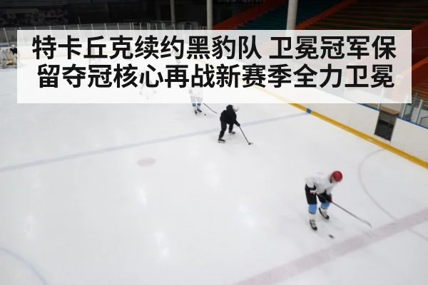 ice hockey rink
